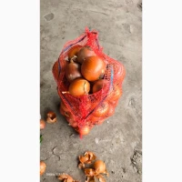 Продам лук сорт Меллори. Хорошее качество. Фазированная