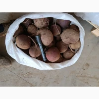 Продам буряк з холодильника сорт, водан