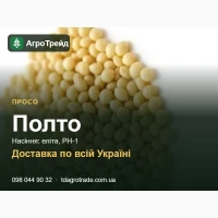 Полто - просо, насіння еліта, РН-1 з документами