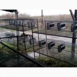 Клетки для кроликов