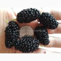 Продам саженцы клубники-гигантеллы