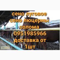 Сено луговое, люцерны для лошадей. Доставка по Украине