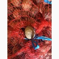 Продам целый калиброванный грецкий орех 2019 года | Selling a whole calibrated walnut 2019