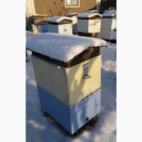 Продам пчелопакеты, пчелосемьи