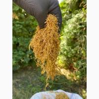 Імпортний Тютюн! Вірджинія Голд/ Золоте руно/Winston / Kapitan Blek/ Oriental /Marlboro