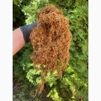 Імпортний Тютюн! Вірджинія Голд/ Золоте руно/Winston / Kapitan Blek/ Oriental /Marlboro