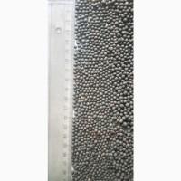 Насіння віки озимої органічної від виробника