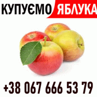 Закуповуемо яблоко !! Телефон на ФОТО Дзвоніть Ціна + ПДВ - без обмежень ВАШ ТРАНСПОРТ