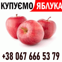 Закуповуемо яблоко !! Телефон на ФОТО Дзвоніть Ціна + ПДВ - без обмежень ВАШ ТРАНСПОРТ
