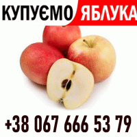 Закуповуемо яблоко !! Телефон на ФОТО Дзвоніть Ціна + ПДВ - без обмежень ВАШ ТРАНСПОРТ