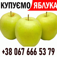 Закуповуемо яблоко !! Телефон на ФОТО Дзвоніть Ціна + ПДВ - без обмежень ВАШ ТРАНСПОРТ