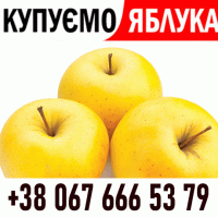 Закуповуемо яблоко !! Телефон на ФОТО Дзвоніть Ціна + ПДВ - без обмежень ВАШ ТРАНСПОРТ