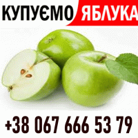 Закуповуемо яблоко !! Телефон на ФОТО Дзвоніть Ціна + ПДВ - без обмежень ВАШ ТРАНСПОРТ