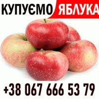 Закуповуемо яблоко !! Телефон на ФОТО Дзвоніть Ціна + ПДВ - без обмежень ВАШ ТРАНСПОРТ