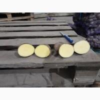 Продамо картоплю товарну