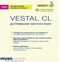 Насіння озимого ріпаку VESTAL CL (ВЕСТАЛ КЛ)