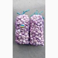 ОПТ Часник Однозубка Воздушка Любаша Насіння Посадковый Товарный Чеснок Семена