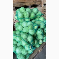 Продам капусту