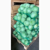 Продам капусту