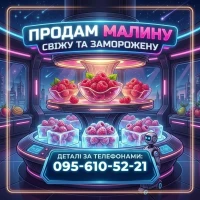 Продам малину свіжу та заморожену