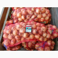 Продам лук 2026 качество