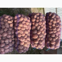 Продам картоплю