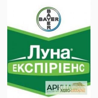 Куплю Тітус, Авіатор, Ширлан. Також купую фалькон, дерозал, куплю кароген