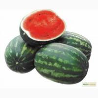 Продам семена Арбуз Кримсон Руби F1 (Sakata Япония)