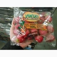 Продам редис фасовка 500г