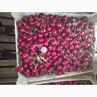 Продам черешню, вишню