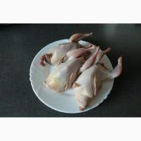Мясо перепелине