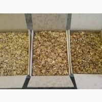 Продам чищеный грецкий орех все фракции | Sell the peeled walnut all fractions