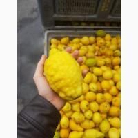 Продам лимон 2 клас