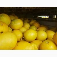 Продам лимон 2 клас