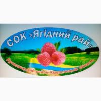 СОК Ягідний Рай реалізує огірок корнішоний сорт Кібрія