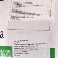 Изюм Голден Джамбо Чили Оазис (Старый Урожай)