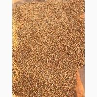 Купуємо просо жовте (будь який об#039;єм)