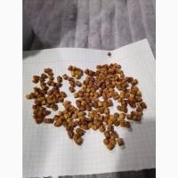 Продам пергу з натуральних стільників