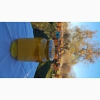 Закарпатский мёд, акация, разнотравье, горный, липа и акация, 2021