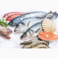 Куплю свежемороженую морскую рыбу в ассортименте