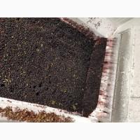 Тонель шокова заморозка IQF