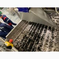 Тонель шокова заморозка IQF