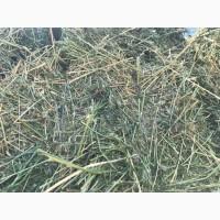 Продається сіно люцерни 1 укіс 2023 року