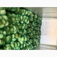 Продам капусту агресор