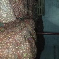Продам цибулю на вигонку зеленого пера