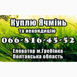 Елеватор закуповує ячмінь та некондицію, за високими цінами