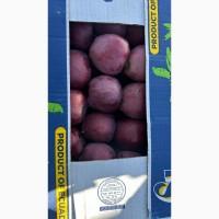 Продам яблука різних сотрів