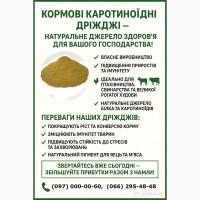 Кормові дріжджі – білково-вітамінна добавка від виробника по Україні та на експорт