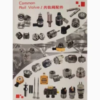 Diesel Injection Delivery Valve ZHF6-00 Diesel Injection Delivery Valve W225C