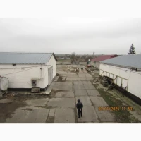 Обладнання для олійного цеху